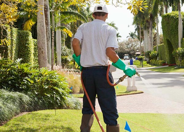 About Cedar Valley UT Pest Control Pros